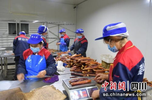 汶川 臘肉飄香打造舌尖上的富民產(chǎn)業(yè)