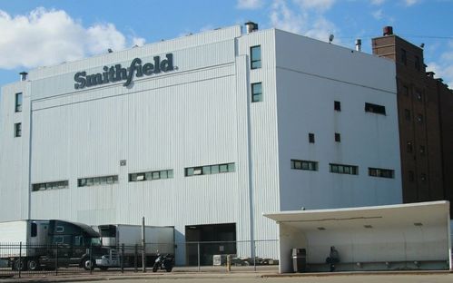 美豬肉企業(yè)史密斯菲爾德暴發(fā)新冠疫情,為萬洲國際子公司
