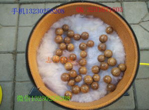 拋光機廠家 優質沉香拋光機 圓珠子拋光機 木珠拋光機