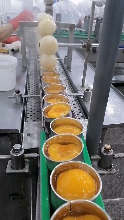 一家罐頭加工廠,竟然是這樣生產水果罐頭的,這得加多少防腐劑