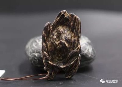 香博會亮點、特色都在這里!下周“尋香”走起!