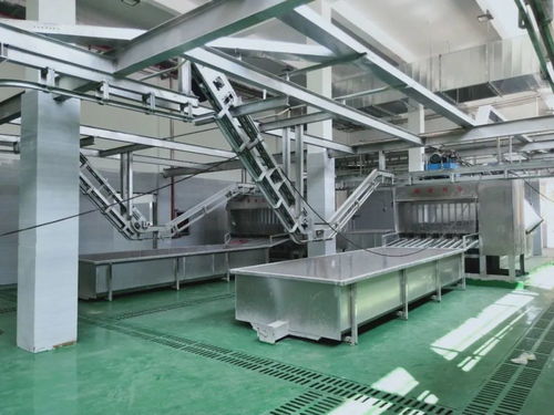 這個a級畜禽屠宰加工廠即將投產 產品將銷往全國各地