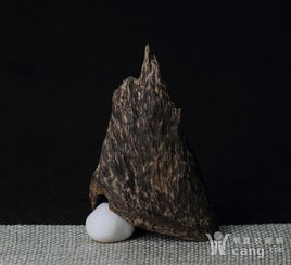 香緣木藝 精品苞殼 加里曼丹沉香沉水耳朵形狀熏香原料