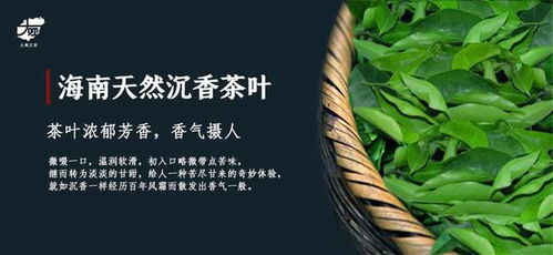 沉香葉的健康功效與作用