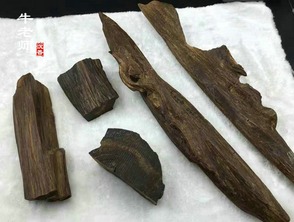 專訪牛老師沉香 只有樹立品牌才能領軍沉香行業發展