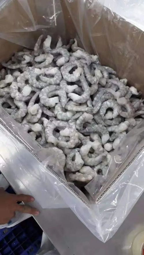 印度越南疫情嚴重,下半年蝦仁和黑虎蝦行情持續走高