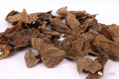 沉香的好壞跟年份有關系