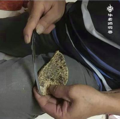 牛老師沉香:沉香的采集與加工是什么流程