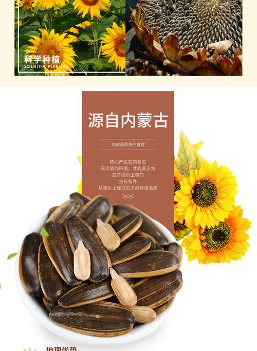 張老吉焦糖瓜子五香原味山核桃味葵花籽1斤2斤4斤零食批發袋裝